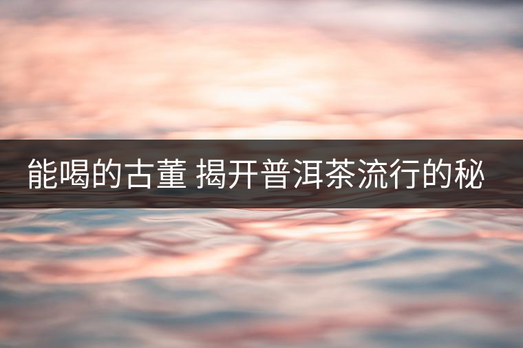 能喝的古董 揭開(kāi)普洱茶流行的秘密 能喝的古董 揭開(kāi)普洱茶流行的秘密