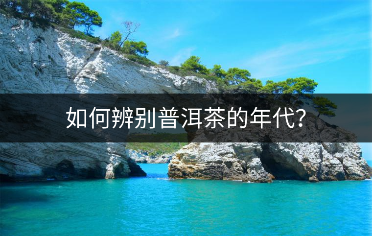 如何辨別普洱茶的年代？