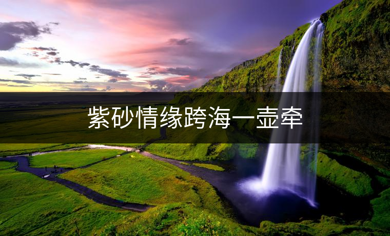 紫砂情緣跨海一壺牽