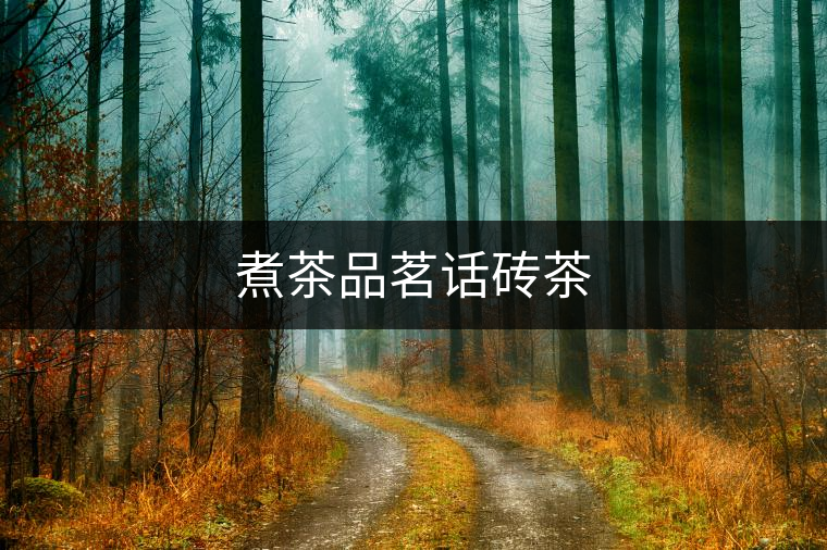 煮茶品茗話(huà)磚茶