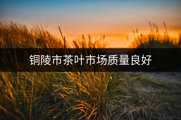銅陵市茶葉市場質量良好 銅陵市茶葉市場質量良好