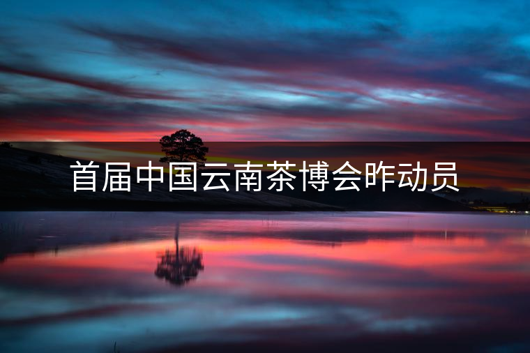 首屆中國云南茶博會昨動員