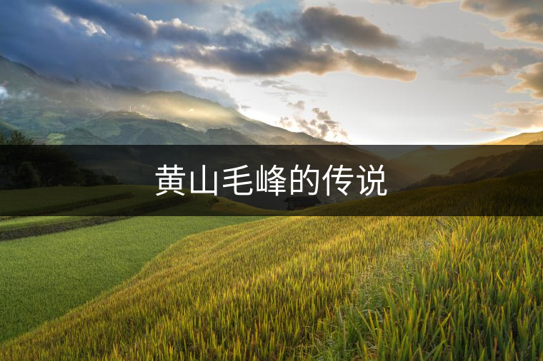 黃山毛峰的傳說 黃山毛峰的傳說