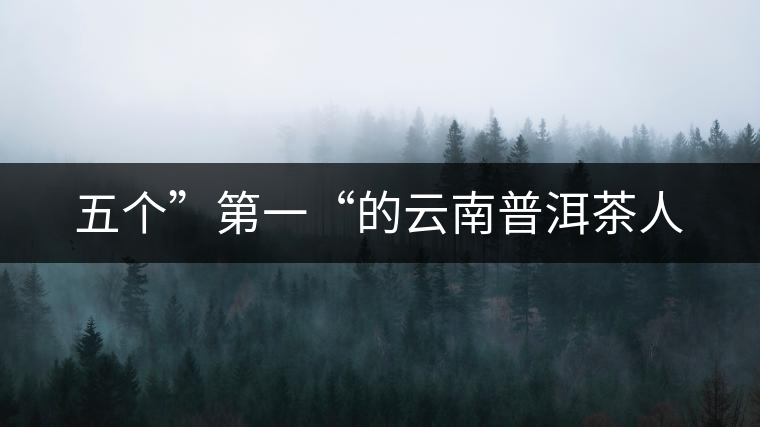 五個”第一“的云南普洱茶人