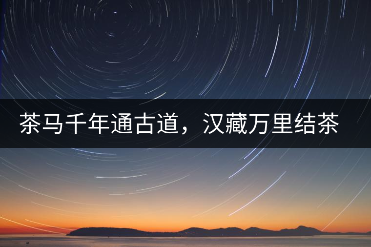 茶馬千年通古道，漢藏萬里結茶緣