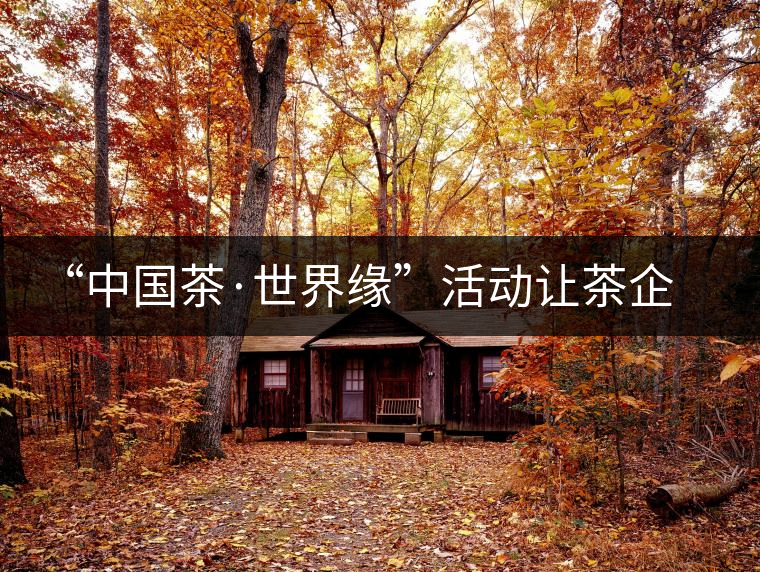 “中國(guó)茶·世界緣”活動(dòng)讓茶企與外賓交流