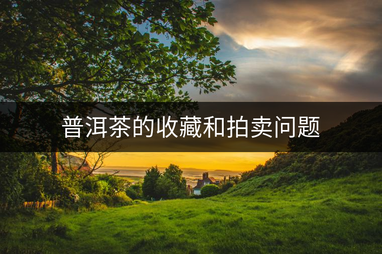 普洱茶的收藏和拍賣(mài)問(wèn)題