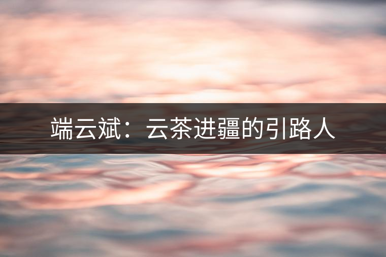 端云斌：云茶進(jìn)疆的引路人