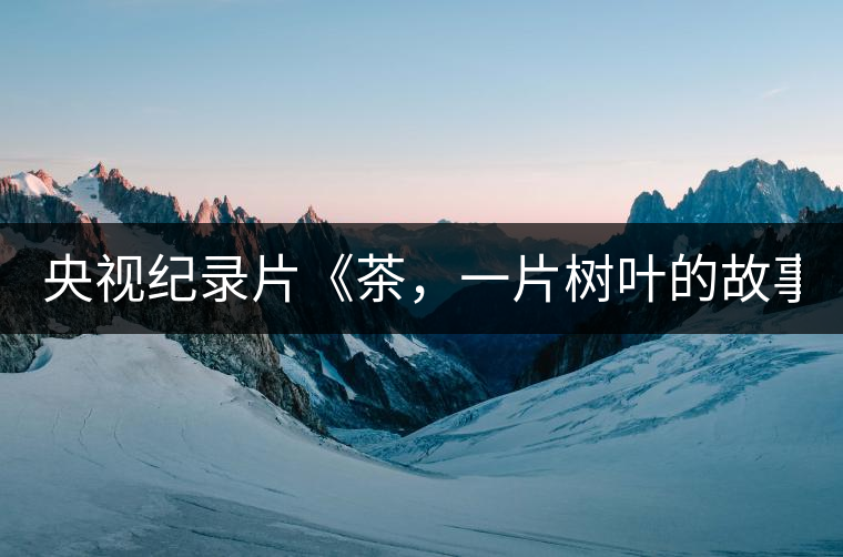 央視紀(jì)錄片《茶，一片樹葉的故事》紀(jì)錄片 昨晚開播