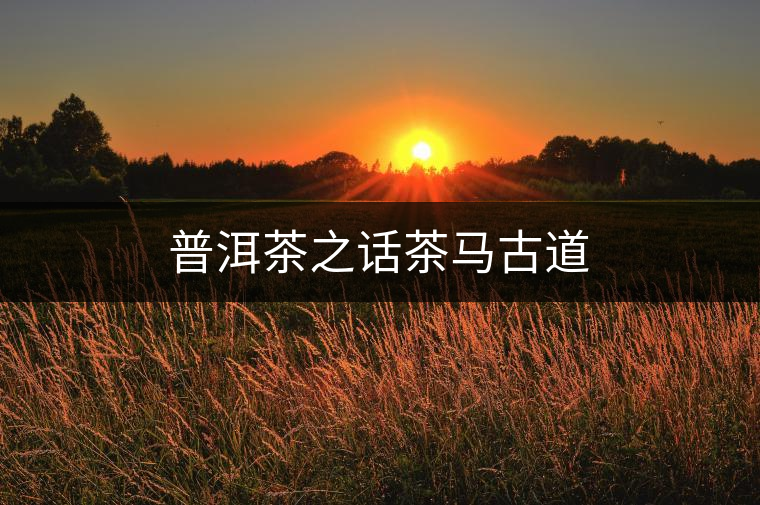 普洱茶之話茶馬古道 普洱茶之話茶馬古道