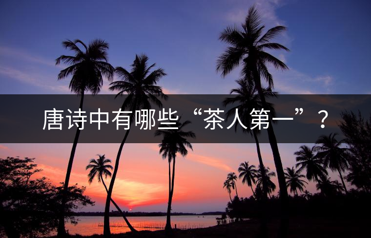 唐詩中有哪些“茶人第一”？