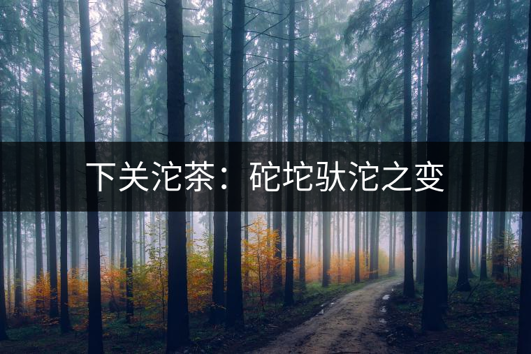 下關沱茶:砣坨馱沱之變 下關沱茶:砣坨馱沱之變