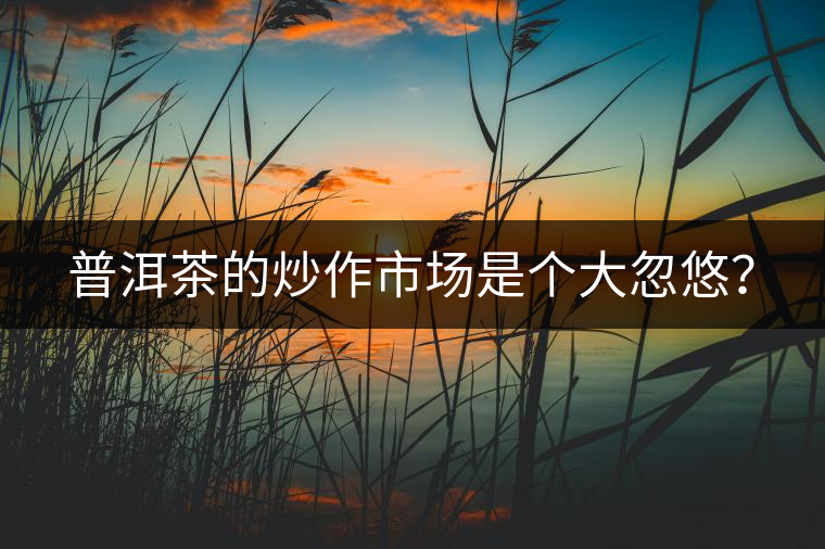 普洱茶的炒作市場(chǎng)是個(gè)大忽悠？