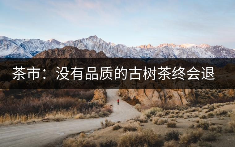 茶市:沒有品質(zhì)的古樹茶終會(huì)退出市場(chǎng) 茶市:沒有品質(zhì)的古樹茶終會(huì)退出市場(chǎng)