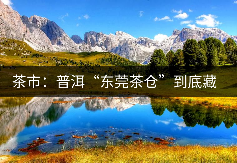 茶市：普洱“東莞茶倉”到底藏給誰喝？