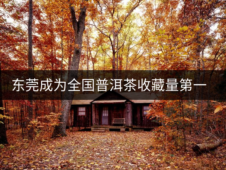 東莞成為全國普洱茶收藏量第一位的城市？