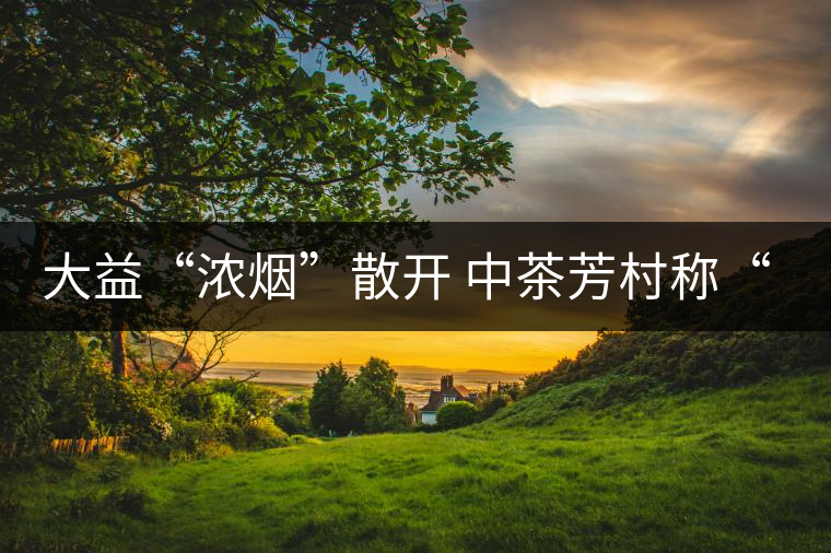 大益“濃煙”散開 中茶芳村稱“王”？