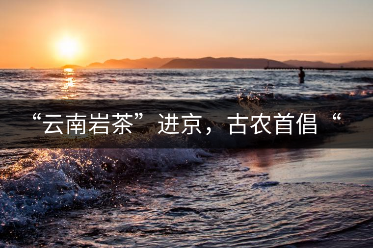 “云南巖茶”進(jìn)京，古農(nóng)首倡“名茶+名企”戰(zhàn)略