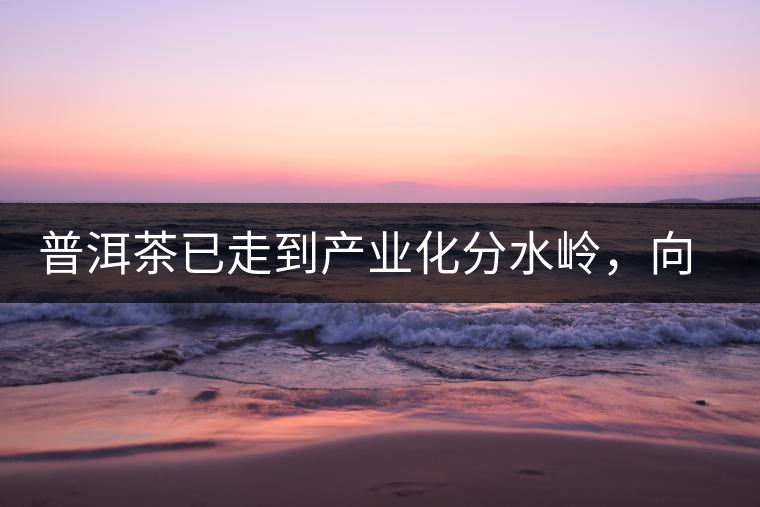 普洱茶已走到產(chǎn)業(yè)化分水嶺，向左還是向右？