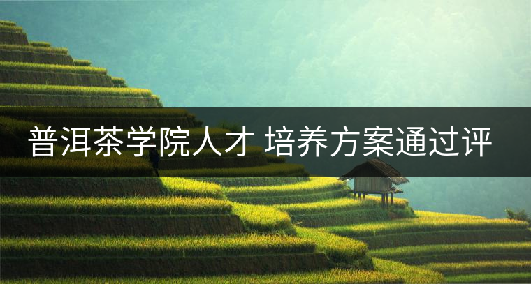 普洱茶學(xué)院人才 培養(yǎng)方案通過評(píng)審