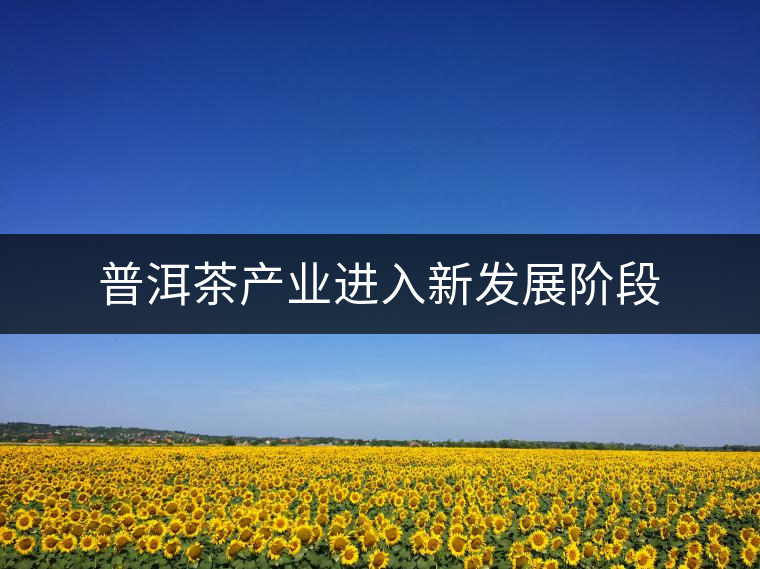普洱茶產(chǎn)業(yè)進入新發(fā)展階段 普洱茶產(chǎn)業(yè)進入新發(fā)展階段
