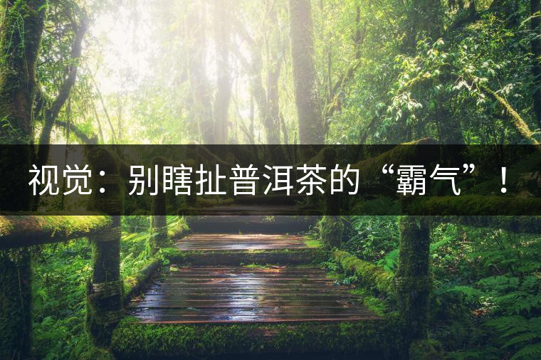 視覺：別瞎扯普洱茶的“霸氣”！偽大師！