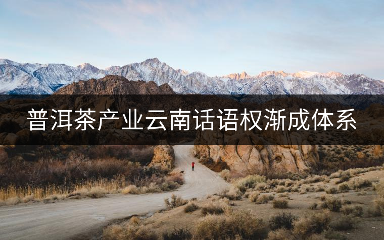 普洱茶產業(yè)云南話語權漸成體系