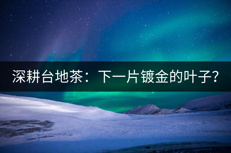 深耕臺(tái)地茶：下一片鍍金的葉子？