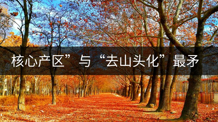 核心產區(qū)”與“去山頭化”最矛盾的市場抉擇