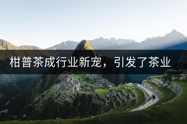 柑普茶成行業(yè)新寵，引發(fā)了茶業(yè)市場新的機遇與爆點
