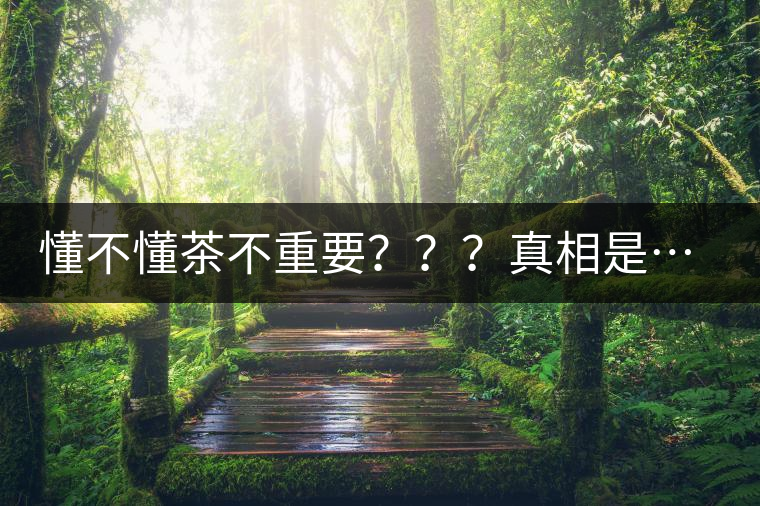 懂不懂茶不重要？？？真相是……