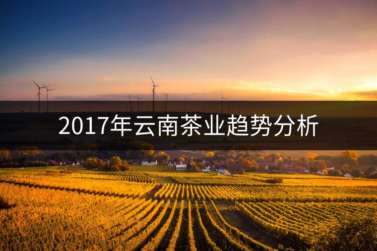2017年云南茶業(yè)趨勢(shì)分析 2017年云南茶業(yè)趨勢(shì)分析