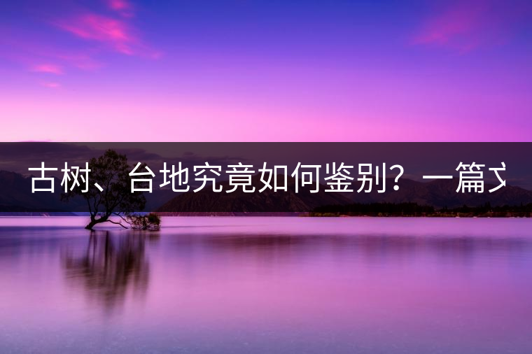 古樹、臺地究竟如何鑒別？一篇文章說透！
