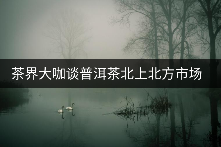 茶界大咖談普洱茶北上北方市場的潛力及突破口 茶界大咖談普洱茶北上北方市場的潛力及突破口