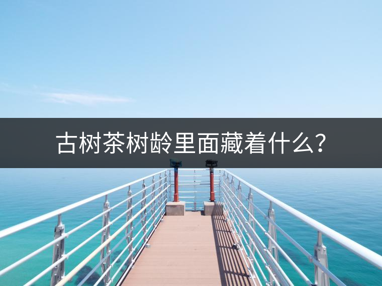 古樹茶樹齡里面藏著什么？