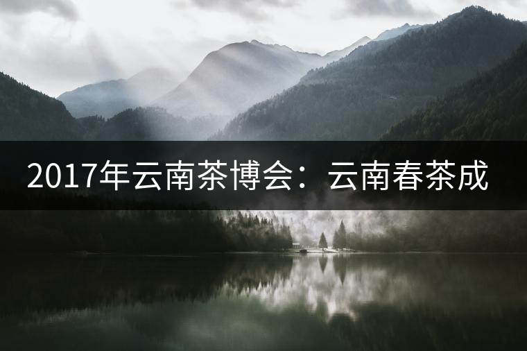 2017年云南茶博會(huì)：云南春茶成品茶價(jià)格上漲，平均每公斤達(dá)94.31元