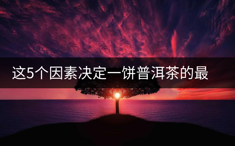 這5個(gè)因素決定一餅普洱茶的最后價(jià)格 這5個(gè)因素決定一餅普洱茶的最后價(jià)格