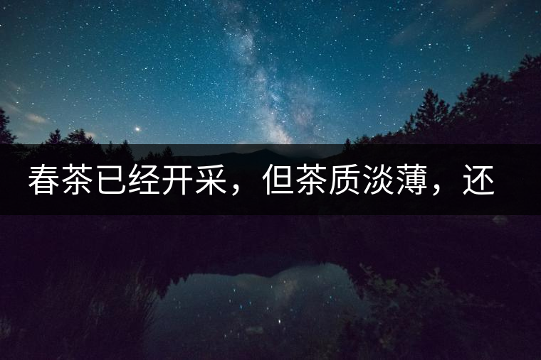 春茶已經開采，但茶質淡薄，還需一兩周