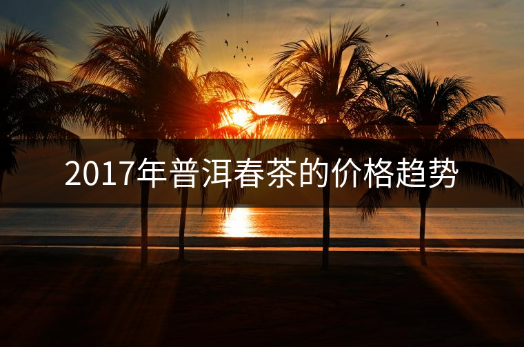 2017年普洱春茶的價格趨勢
