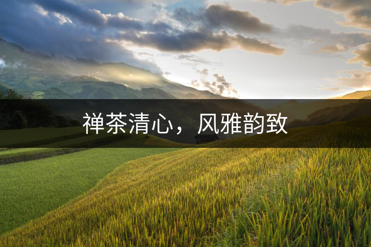 禪茶清心，風雅韻致