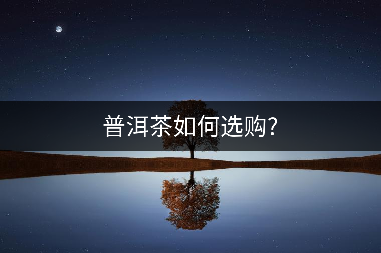 普洱茶如何選購?