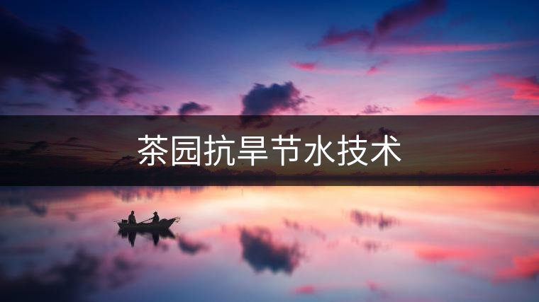 茶園抗旱節(jié)水技術(shù) 茶園抗旱節(jié)水技術(shù)