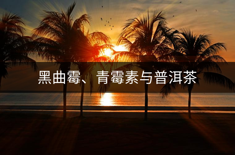 黑曲霉、青霉素與普洱茶