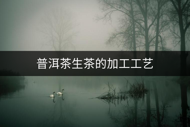 普洱茶生茶的加工工藝 普洱茶生茶的加工工藝