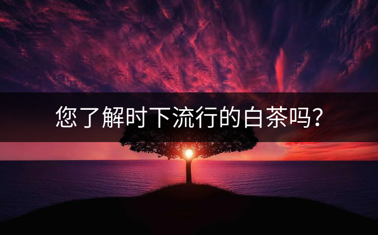 您了解時下流行的白茶嗎？