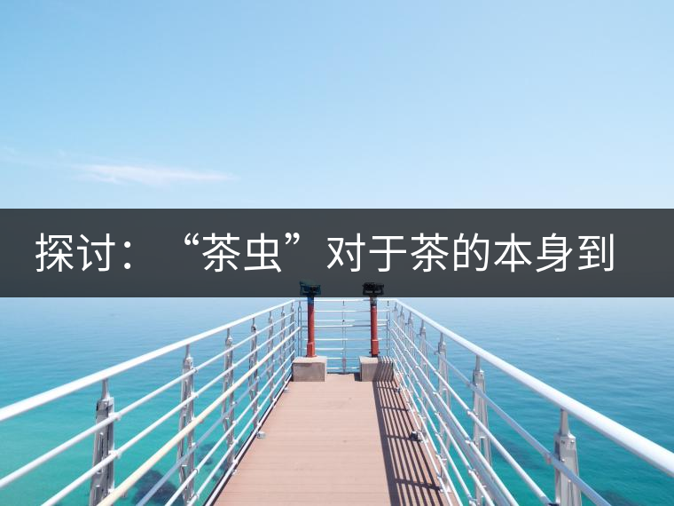 探討：“茶蟲”對(duì)于茶的本身到底是好是壞？