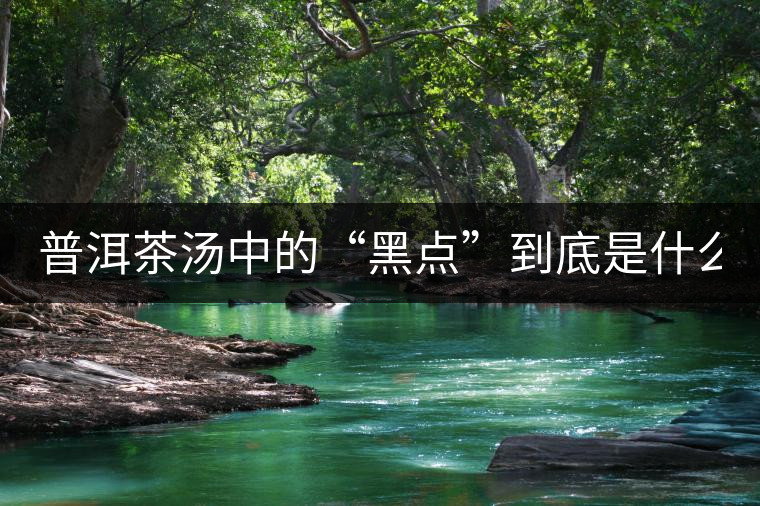 普洱茶湯中的“黑點(diǎn)”到底是什么？