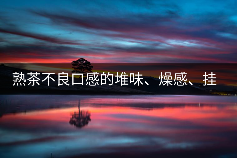熟茶不良口感的堆味、燥感、掛喉