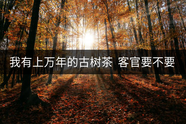 我有上萬年的古樹茶  客官要不要嘗嘗？