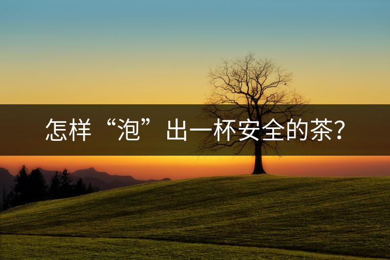 怎樣“泡”出一杯安全的茶？